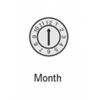Date Marked Pin - Month