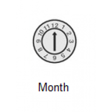 Date Marked Pin - Month